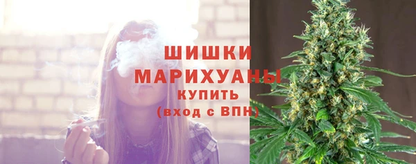 шишки Баксан