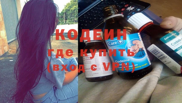 шишки Баксан