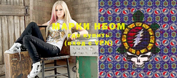 шишки Баксан